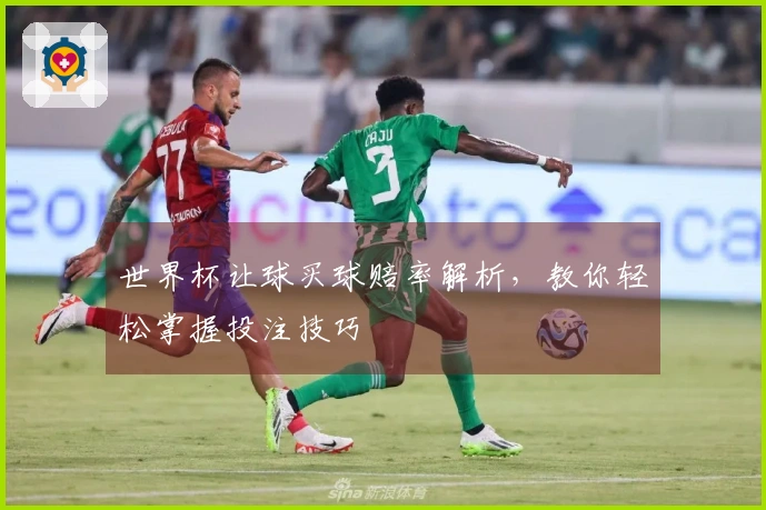 世界杯让球买球赔率解析，教你轻松掌握投注技巧