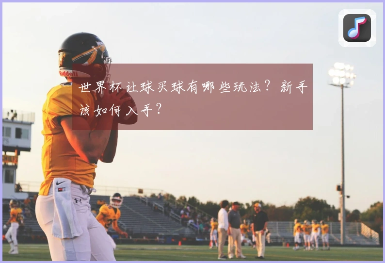 世界杯让球买球有哪些玩法？新手该如何入手？