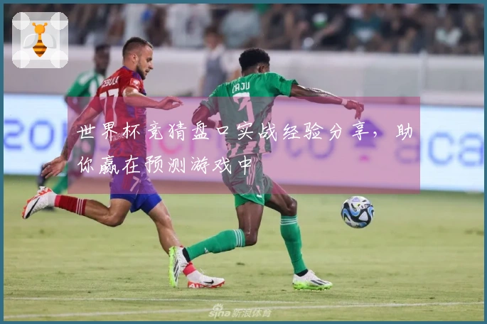 世界杯竞猜盘口实战经验分享，助你赢在预测游戏中