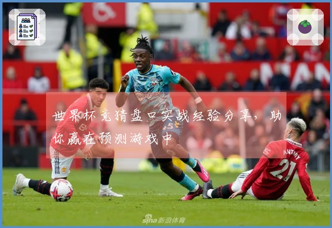 世界杯竞猜盘口实战经验分享，助你赢在预测游戏中